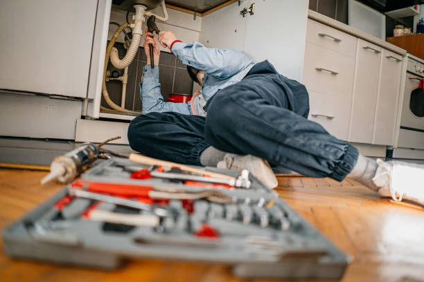 Best 24-Hour Plumber Near Me  in Riverview, MI