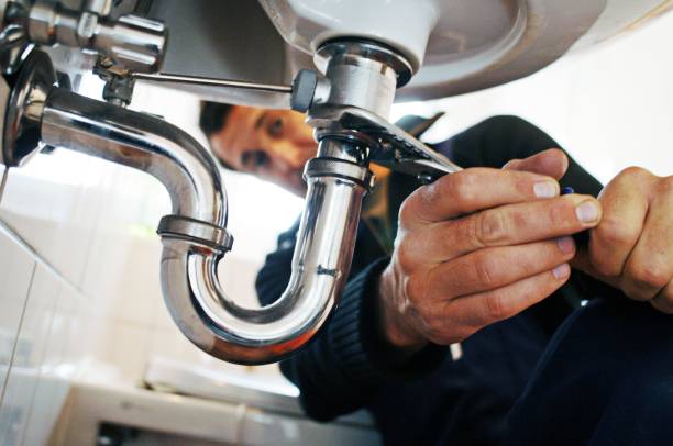 Best Clogged Drain Plumber  in Riverview, MI