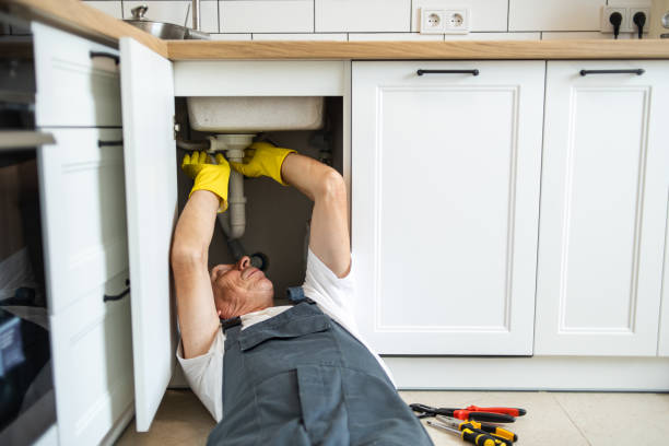Best Emergency Plumbing Repair  in Riverview, MI