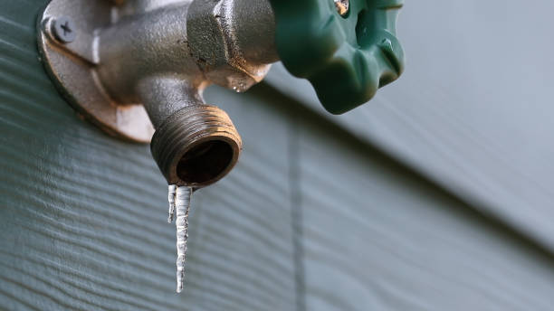 Best Sprinkler Systems  in Riverview, MI