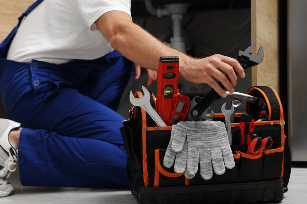 Best Plumbing Services Near Me  in Riverview, MI