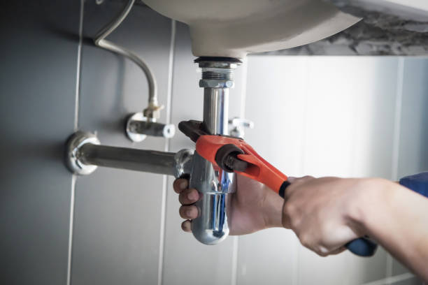 Best Drain Cleaning Services  in Riverview, MI