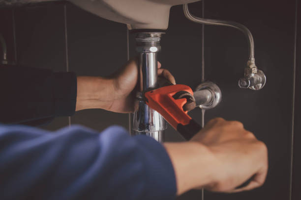 Best Faucet Repair  in Riverview, MI